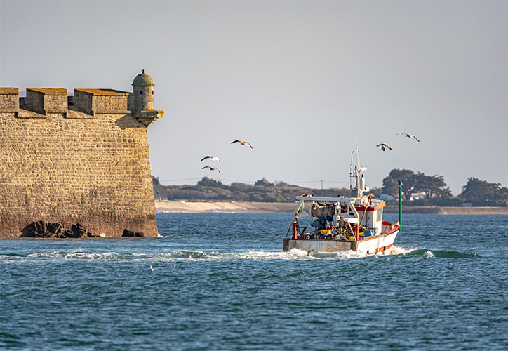 Lorient, a port city known for its festivals, can be visited from the À l'Abri de l'Océan campsite in Finistère